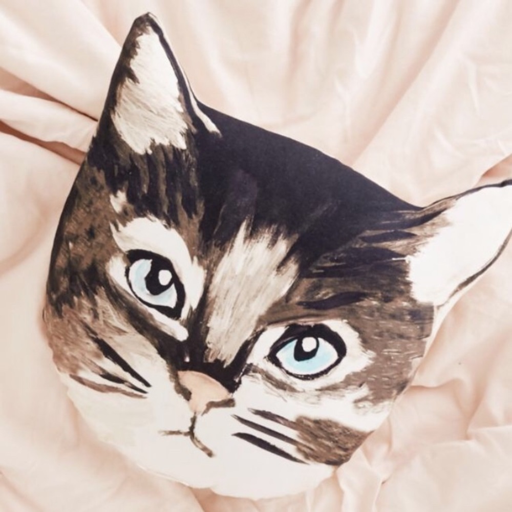 Urban Outfitters Cat Pillow